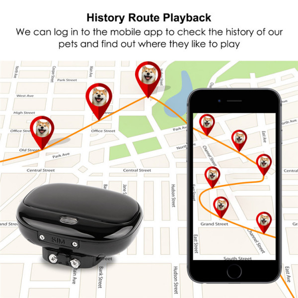 GPS трекер для собак GPS Tracker V43 з відстежуванням