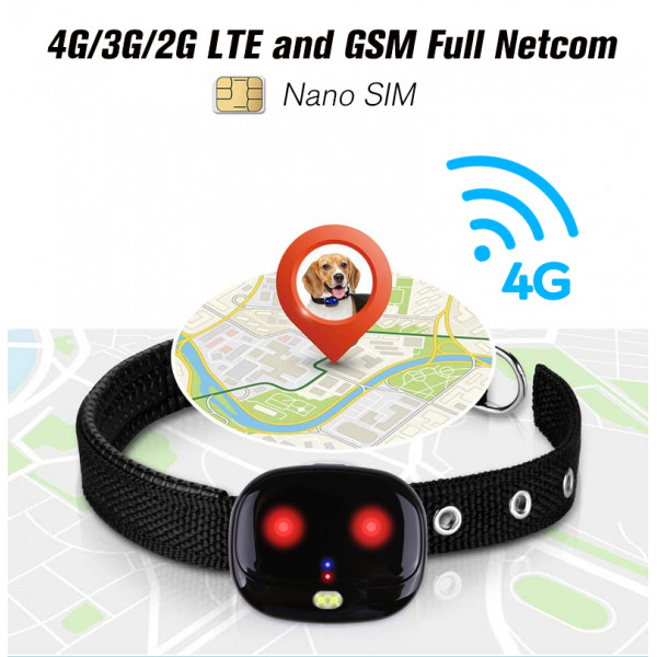 GPS трекер для собак GPS Tracker V43 з відстежуванням