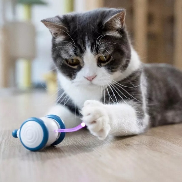 Інтерактивна іграшка для котів Wicked Mouse C0821