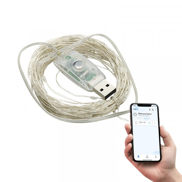 Гірлянда світлодіодна BroadLink Fairy Light 100led, 10 метрів