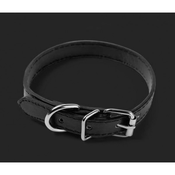 GPS нашийник для собак GPS collar D6