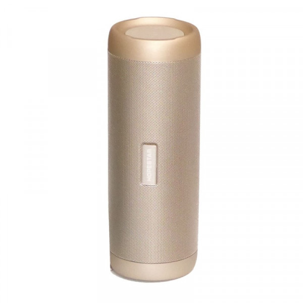 Бездротова колонка Hopestar P4