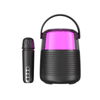 Портативная Мини Караоке Система Для Дома Блютуз Колонка с LED Подсветкой и Функцией Смены Голоса У1 Чёрная