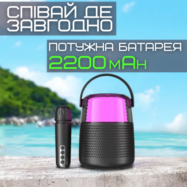 Портативная Мини Караоке Система Для Дома Блютуз Колонка с LED Подсветкой и Функцией Смены Голоса У1 Чёрная