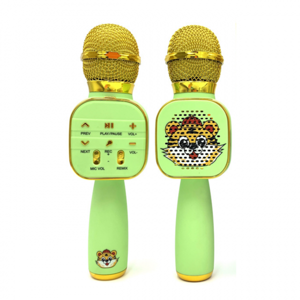 Караоке Микрофон Портативный GDS006 Bluetooth Колонка Караоке с Динамиками Зеленый