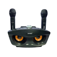 Портативная Беспроводная Караоке Система Переносная SDRD на Два Микрофона с Блютуз Колонкой SD306S Черная