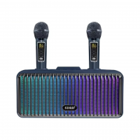 Портативная Переносная Караоке Система SDRD С Двумя Беспроводными Bluetooth Микрофонами + RGB Подсветкой Для