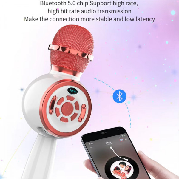 Караоке Мікрофон-колонка DS810