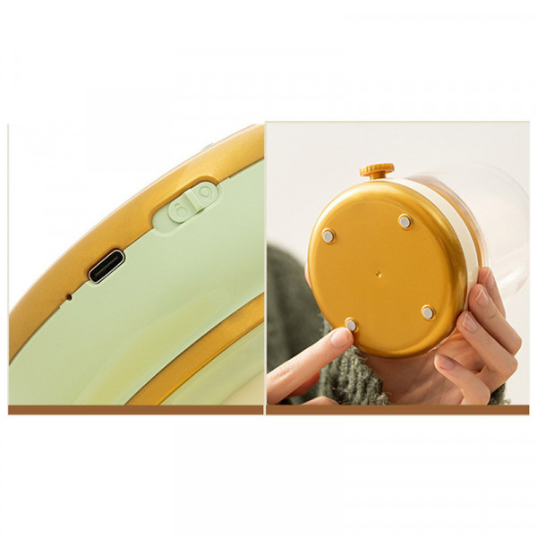 Нічник Capybara and Lotus